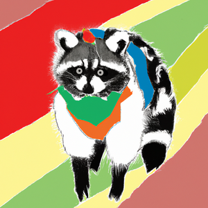 icp_raccon: 57