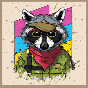 icp_raccon: 13